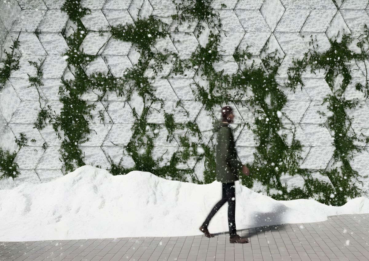 La mousse v&eacute;g&eacute;tale en hiver ne meurt pas. Elle dort et se d&eacute;sydrate. Au printemps, la pluie et le temps doux la r&eacute;veillent et m&ecirc;me temps que les autres plantes et les animaux.