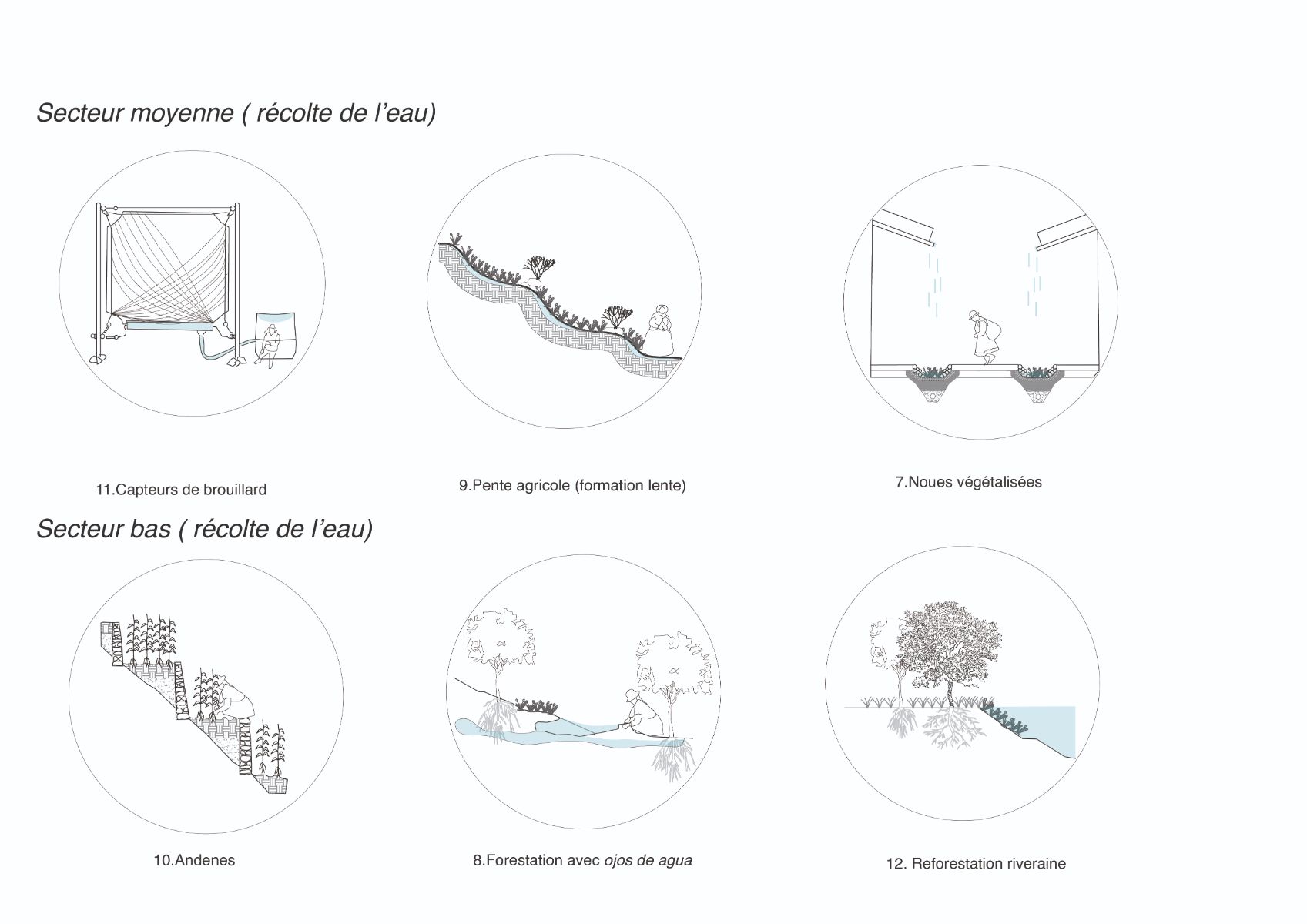 Strat&eacute;gies de r&eacute;colte de l'eau (cosecha del agua)