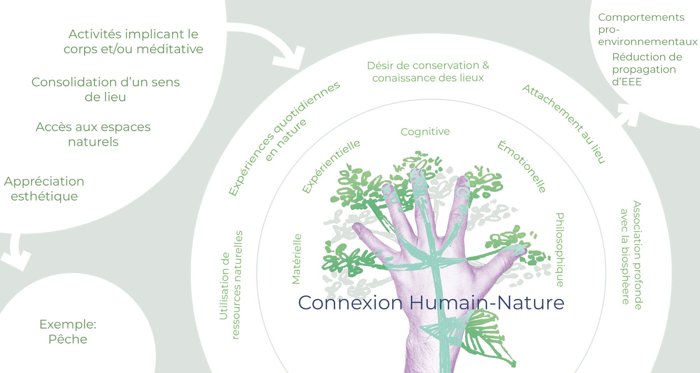 Connexions humain-nature