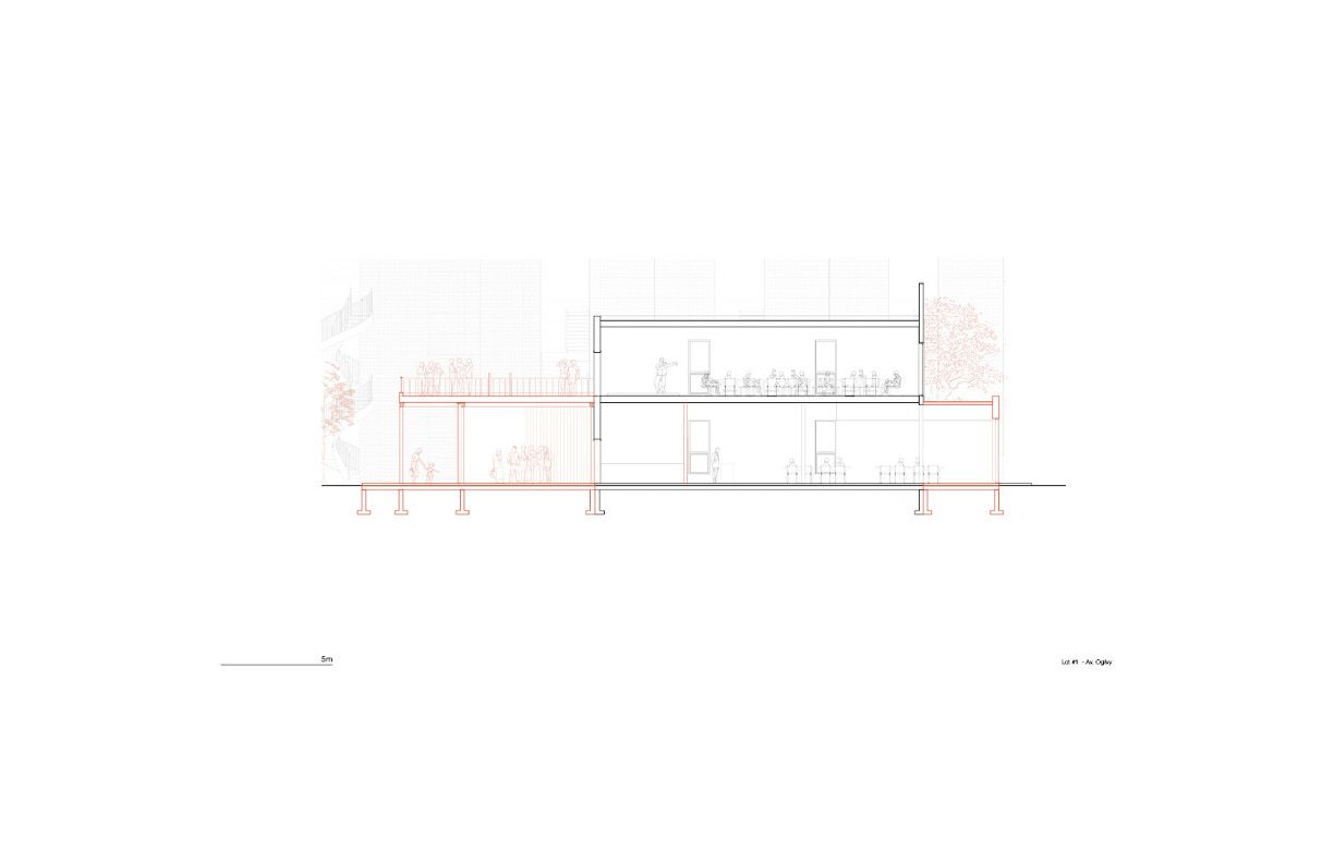 Coupe | site 01