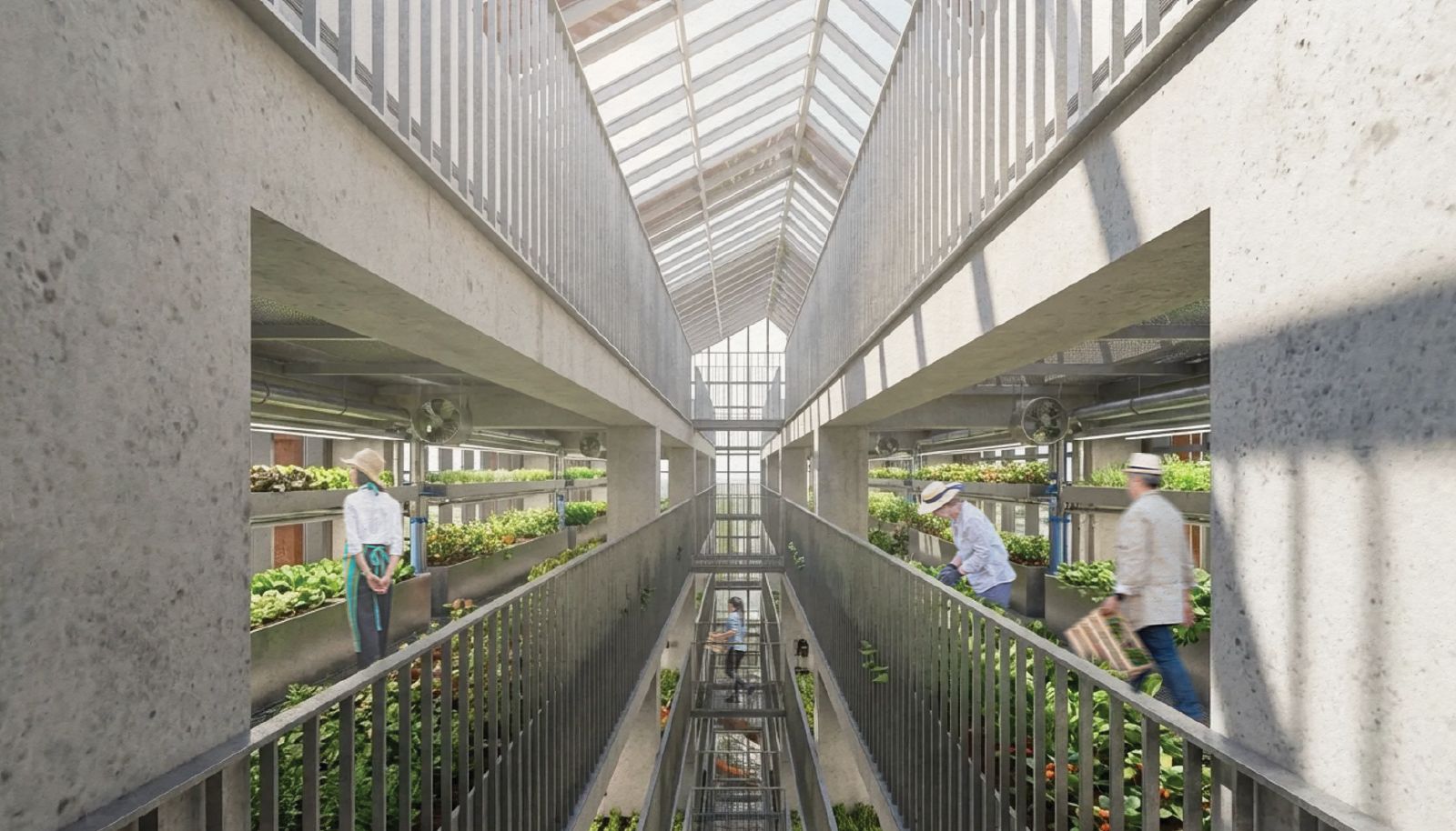 Vue int&eacute;rieure de la serre de production verticale