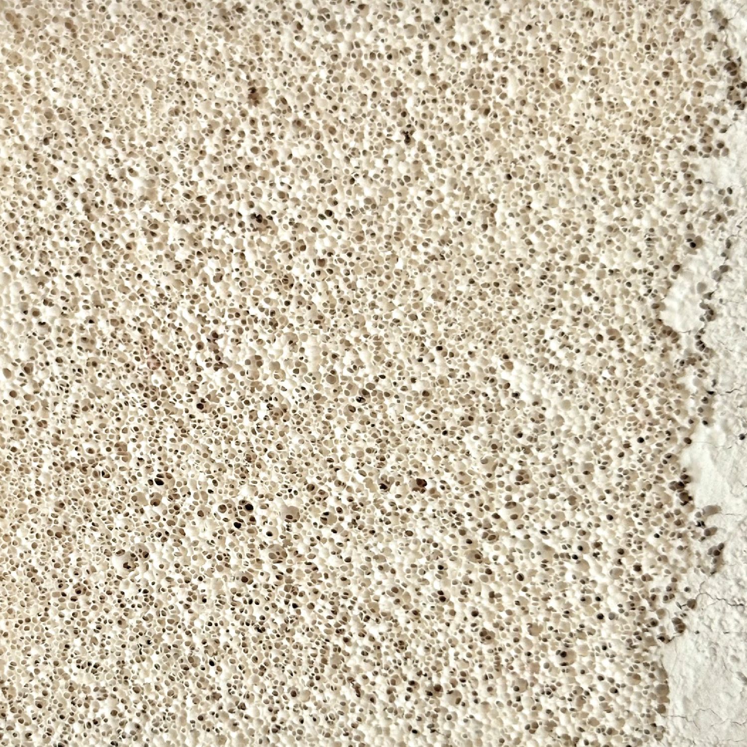 C&eacute;ramique calcique issue de l'exploration mat&eacute;rielle