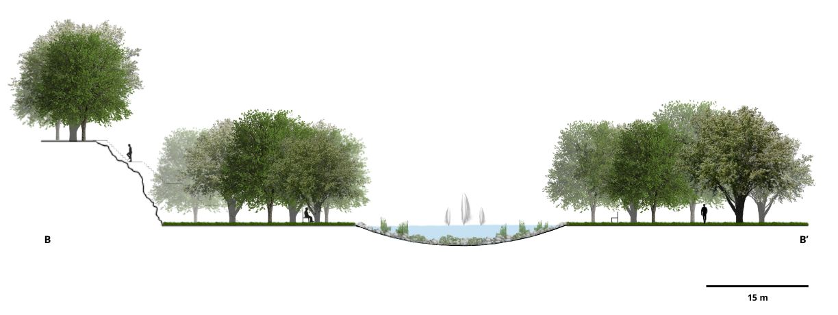 Coupe Jardin Est &ndash; Rideau d'eau