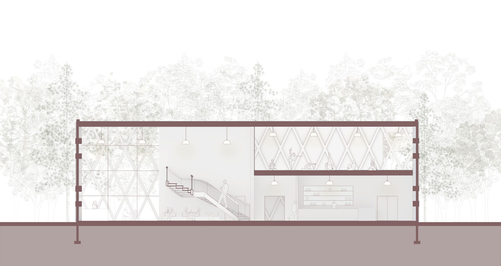 Coupe longitudinale - pavillon communautaire
