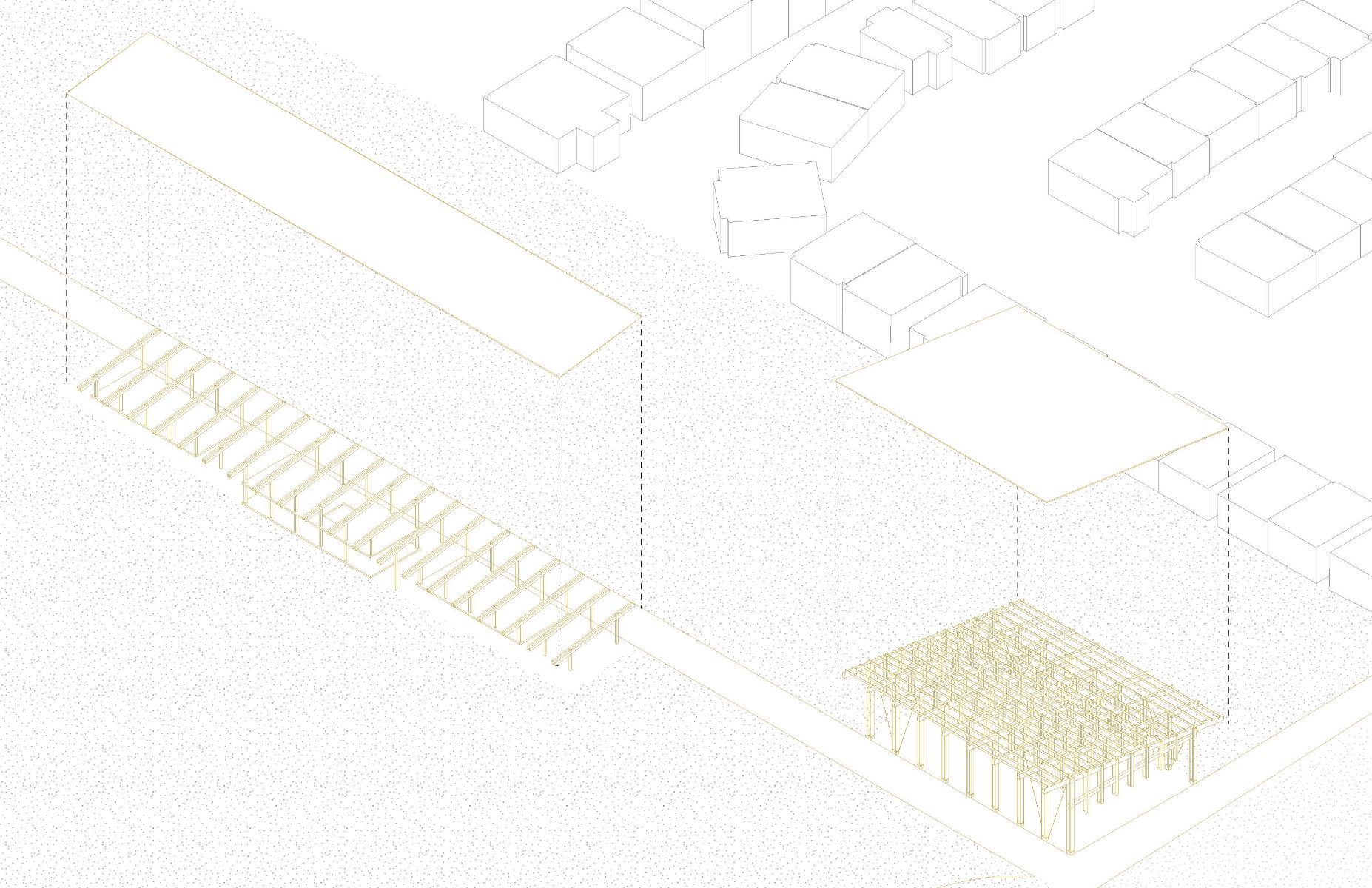 Axonom&eacute;trie structurale