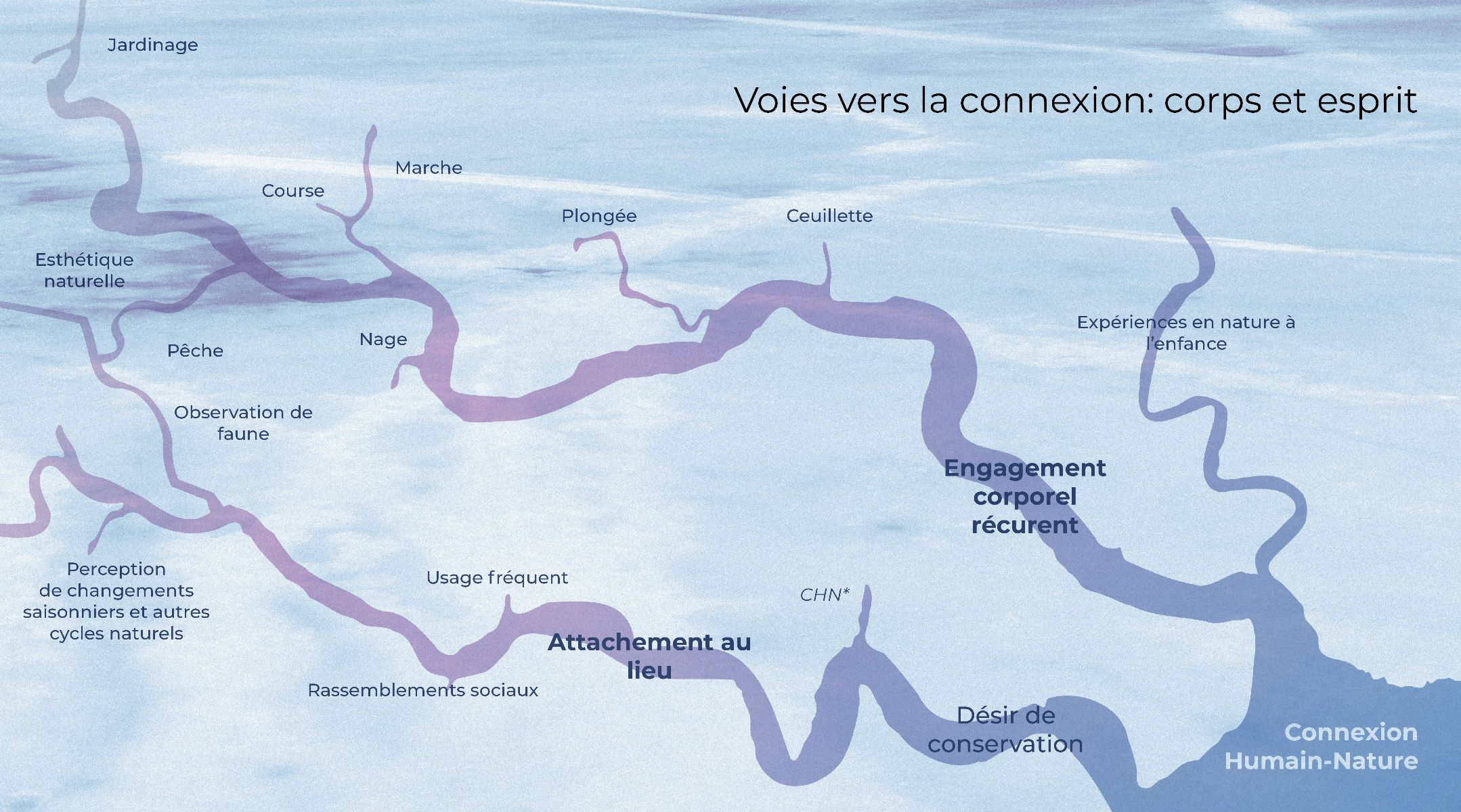 Voies vers la reconnexion