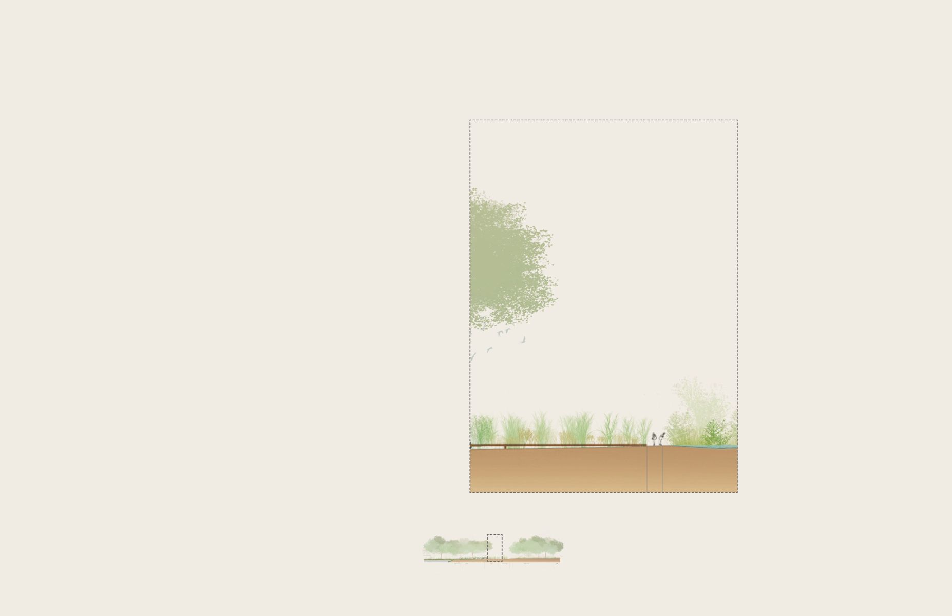 Jardin et gestion diff&eacute;renci&eacute;e