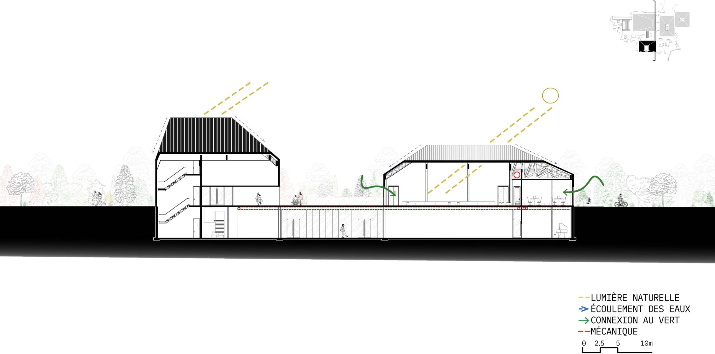 Coupe transversale - Maison de Quartier et Maison des jeunes (B)