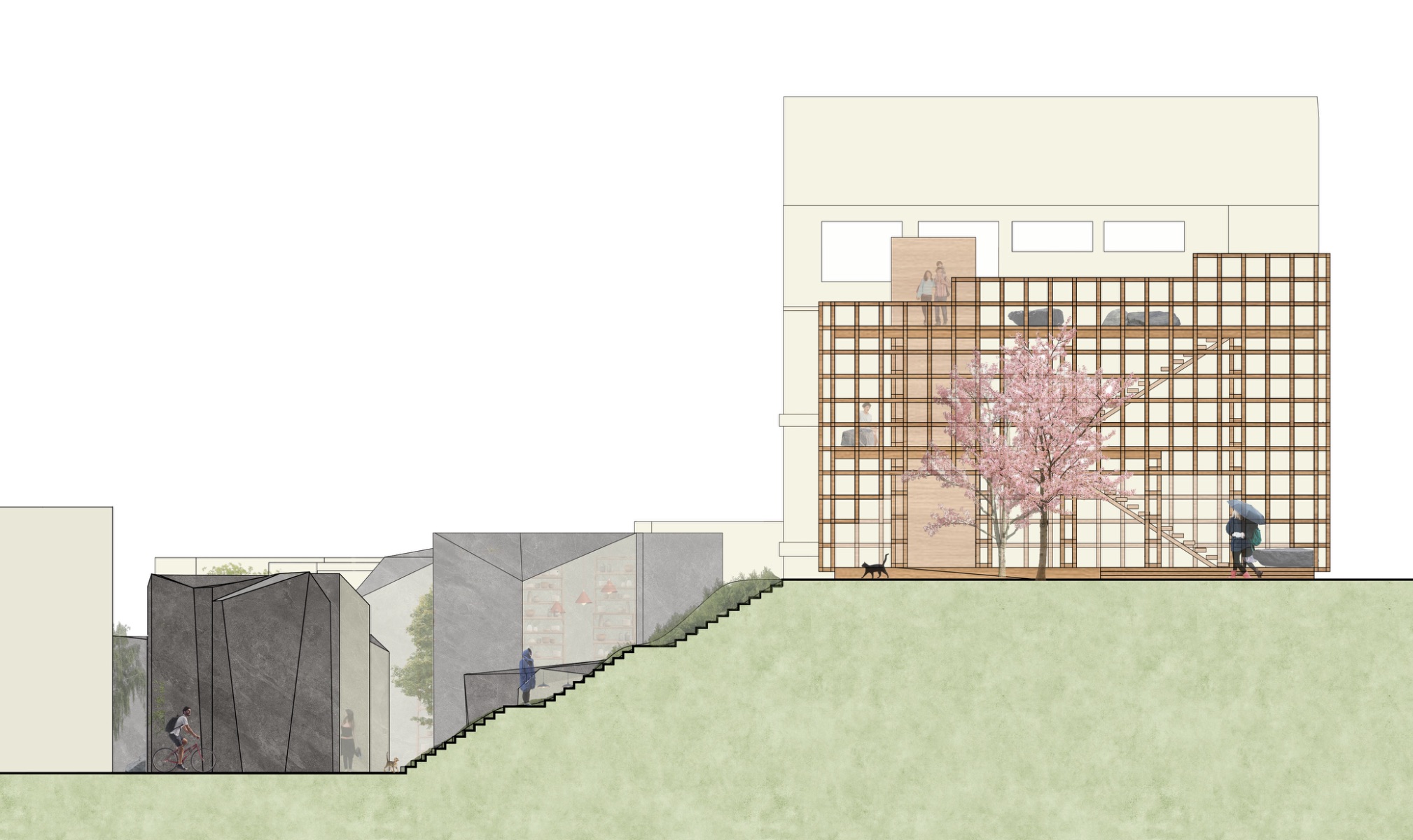 Coupe du site