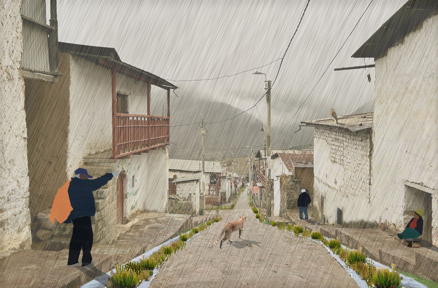 Noues v&eacute;g&eacute;talis&eacute;es dans le village de San Pedro de Casta