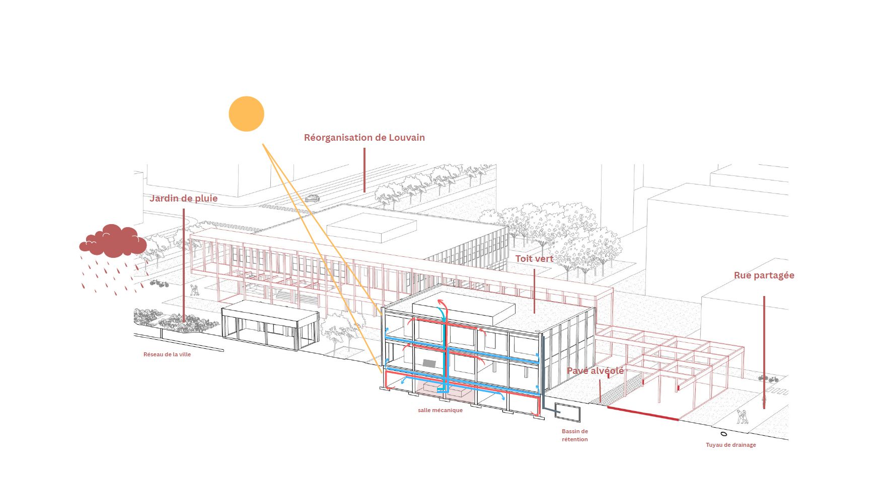 Coupe bioclimatique