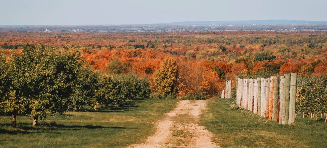 L&rsquo;agrotourisme : une opportunit&eacute; &agrave; cueillir