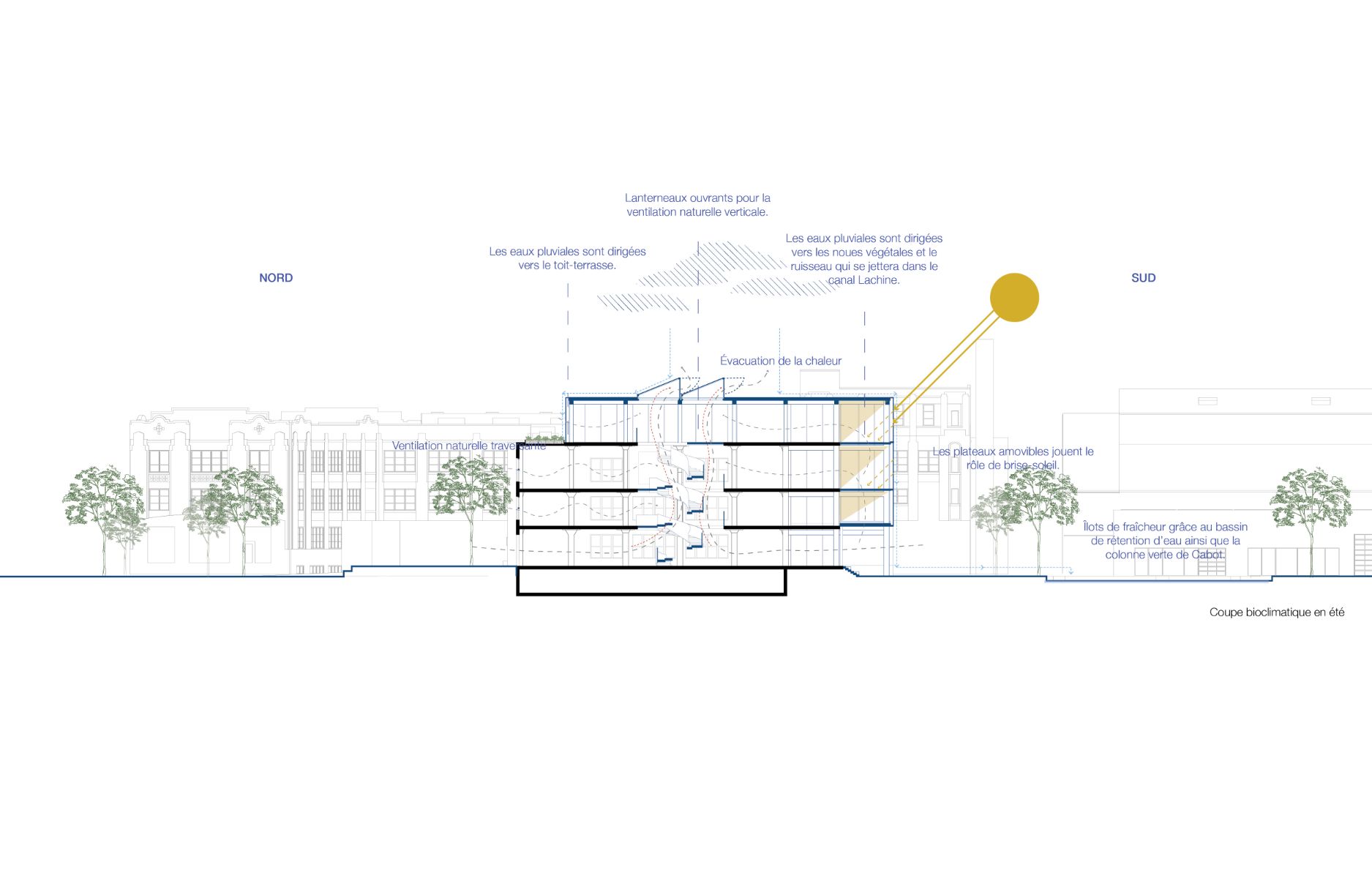 Coupe bioclimatique du projet en &eacute;t&eacute;