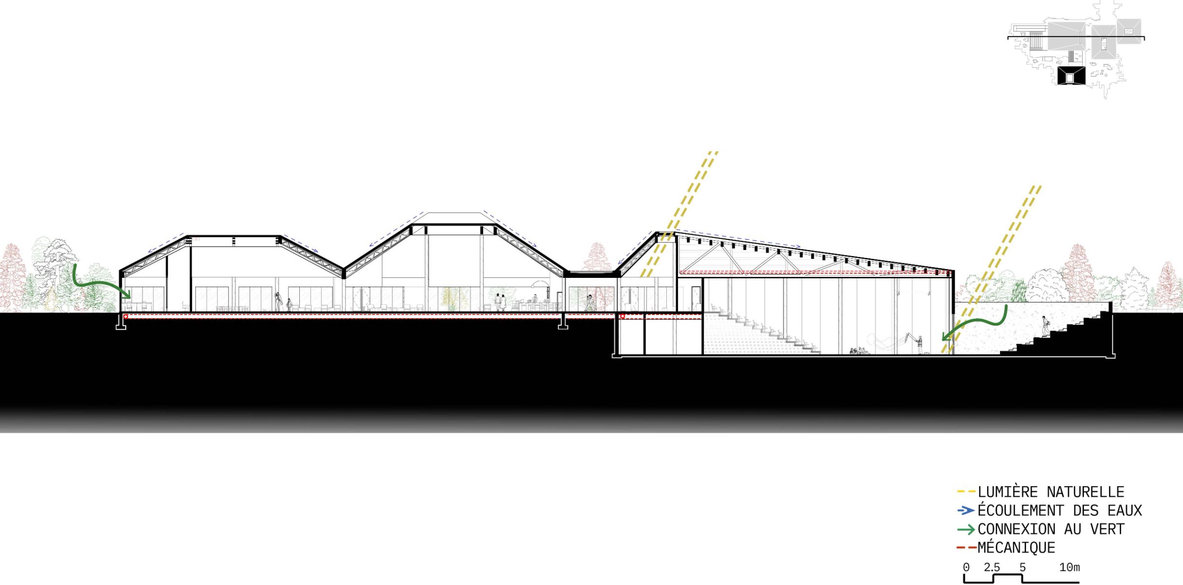 Coupe longitudinale - Maison de Quartier (A)